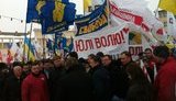 Оппозиция довольна первой волной акции "Вставай, Украина!"