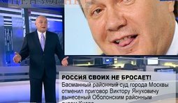 В лесу свои законы...