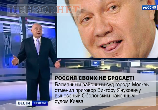 В лесу свои законы...