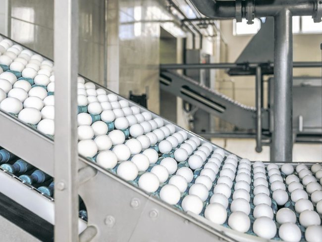 Federation of Employers of Ukraine points to law enforcers arbitrariness in relation to Ukrlandfarming 03 Federation of Employers of Ukraine points to law enforcers arbitrariness in relation to Ukrlandfarming 03