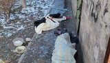 1582 peaceful Mariupol residents died from Russian shelling