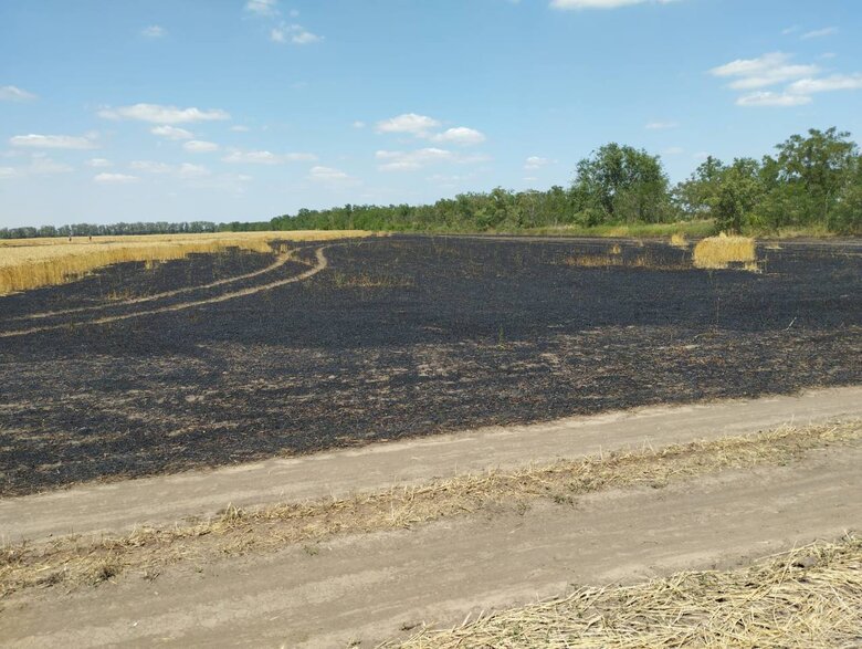 На Херсонщині через російські обстріли горіли поля із збіжжям та лісопосадка