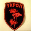 Август Зборовский