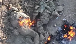 знищені окупанти