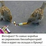 І це вони ще не починали...