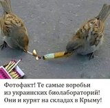 І це вони ще не починали...