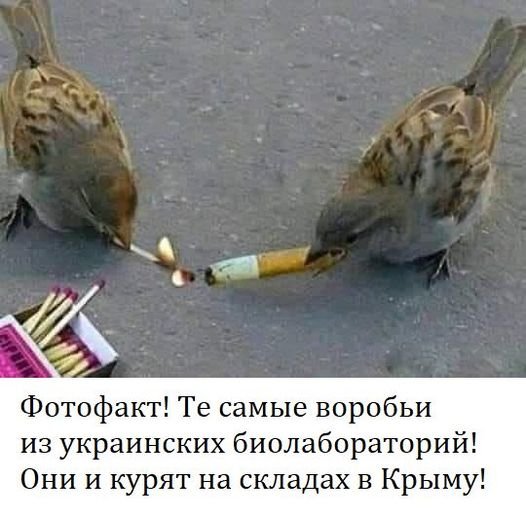 І це вони ще не починали...
