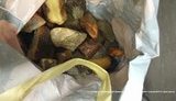 Бурштинові депутати