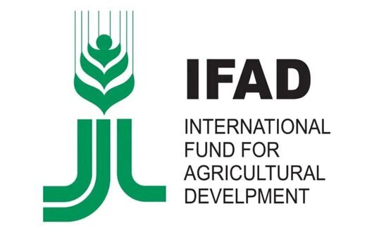 IFAD