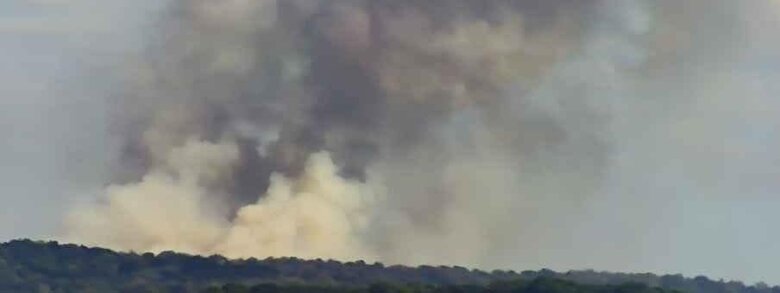 Лесной пожар, возникший на Сумщине после вражеских обстрелов, перекинулся на территорию РФ, - Живицкий 02