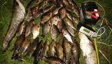 С 1 апреля в Украине вводится запрет на вылов рыбы и раков. Штраф - до 3400 грн или ограничение свободы на срок до трех лет