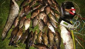 С 1 апреля в Украине вводится запрет на вылов рыбы и раков. Штраф - до 3400 грн или ограничение свободы на срок до трех лет