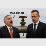 А що сталося?