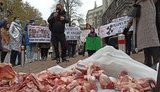 Активісти принесли під Кабмін кістки, вимагаючи не допустити скорочення бюджету на медицину. ВІДЕО+ФОТОрепортаж
