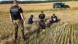 польша,нелегалы