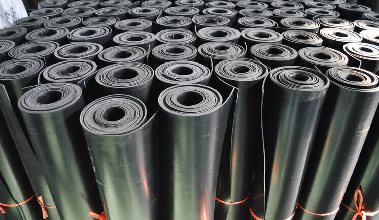 Латвія перевірить експорт природного каучуку до Росії: його може використовувати російський ВПК