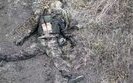 ліквідований поблизу Липців окупант