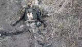 ліквідований поблизу Липців окупант
