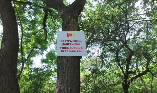 Цензор.НЕТ Изображение