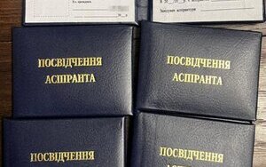 Схеми ухилянтів у вишах та ВЛК