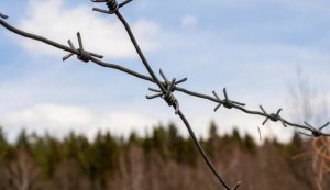 Росія закатувала у полоні 375 військових і цивільних