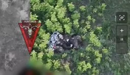 Оккупант самоликвидировался выстрелом в голову