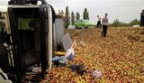 "Фруктовое" ДТП: фура с 18 тоннами яблок перевернулась на трассе Киев - Чоп. ФОТОрепортаж