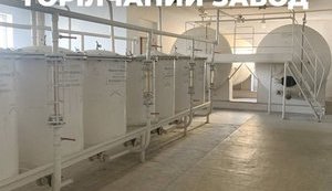 Фонд госимущества продал Винницкий ликеро-водочный завод за 17 миллионов (обновлено)
