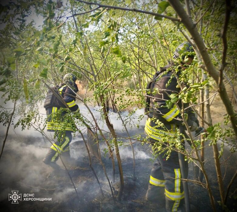 пожежі через обстріли на Херсонщині