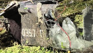 В Естонії повідомили про дрон з бойовою частиною