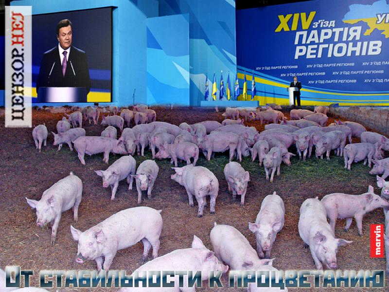 От стабильности к процветанию