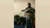 партизани