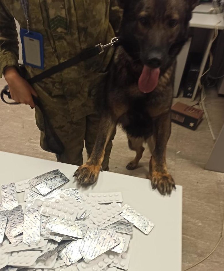 В Борисполе служебный пес нашел 2 тысячи запрещенных таблеток у двух мужчин, возвращавшихся из Шарм-эль-Шейха 03