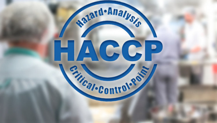 HACCP: Что означает введение мировых стандартов качества для Украины