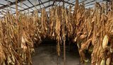На Одещині викрили цех з нелегального виготовлення сигарет
