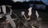 запоріжжя