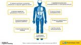 МОЗ оновив стандарти госпіталізації хворих із COVID-19. ІНФОГРАФІКА