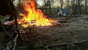 Українська влада могла б перейняти прогресивну європейську практику і надати ромам землю під легальні табори, - експерт РЄ Аффлербах