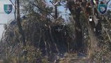 Уничтожение замаскированного российского танка