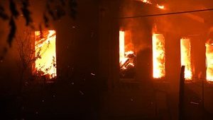 Из-за пожаров на Луганщине открыли 10 уголовных производств, - Шмыгаль