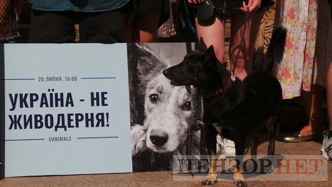 Ми втомилися від безкарності збоченців: Учасники Всеукраїнської акції Україна - не шкуродерня мітингували під КМДА 12