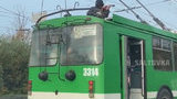 Мужчина играл на скрипке на крыше троллейбуса в Харькове, открыто дело по статье о хулиганстве, - Нацполиция. ВИДЕО