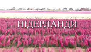 МЗС запускає кампанію "Світ очима українських дипломатів": перша зупинка - Нідерланди. ВIДЕО