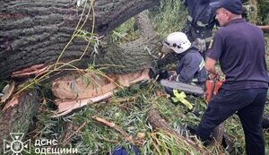 Один ребенок погиб и еще 4 пострадали в результате падения дерева в Балте Одесской области, - ГСЧС (обновлено). ФОТОрепортаж