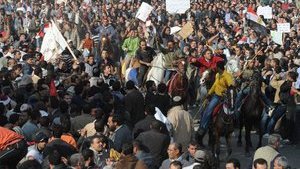 БЮТ: Власть напугана выступлениями людей в Египте и Тунисе, поэтому отложила Пенсионную реформу