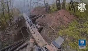 Бійці 8-го полку ССО провели зачистку лісосмуги та ліквідували окупанта, який відмовився здаватися. ВIДЕО