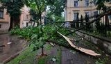 львов,непогода