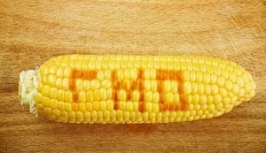 В Україні з вересня 2026 року відкриють легальний обіг ГМО: що зміниться?