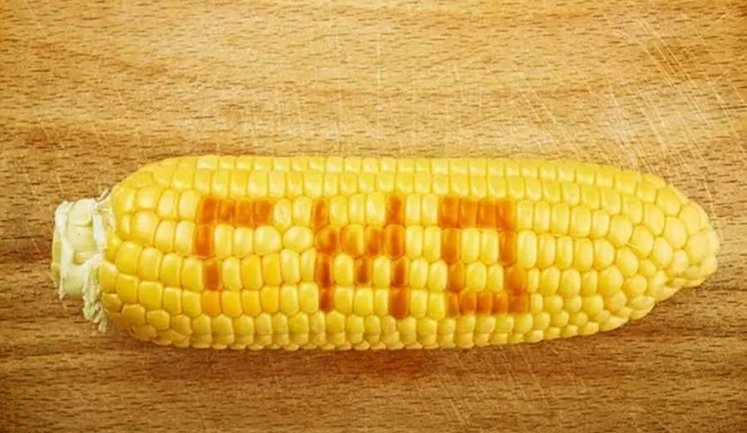 В Україні з вересня 2026 року відкриють легальний обіг ГМО: що зміниться?