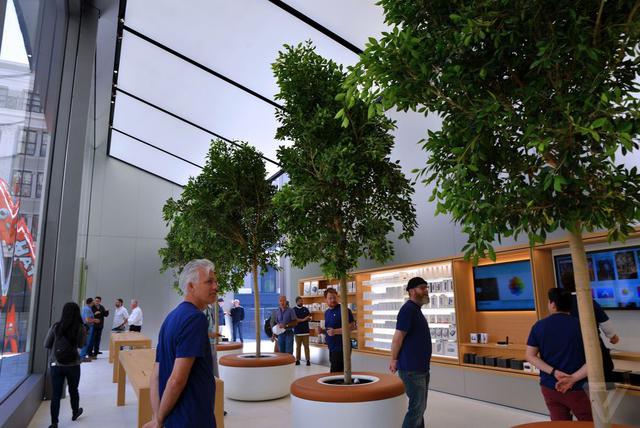 apple